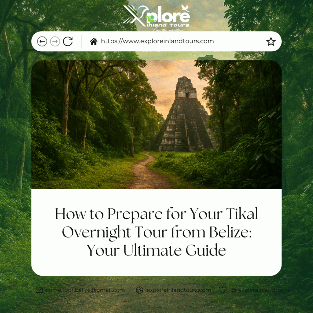 A jungle path leading to an ancient Mayan temple in Tikal, Guatemala, surrounded by lush rainforest