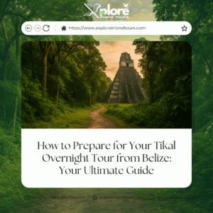 A jungle path leading to an ancient Mayan temple in Tikal, Guatemala, surrounded by lush rainforest